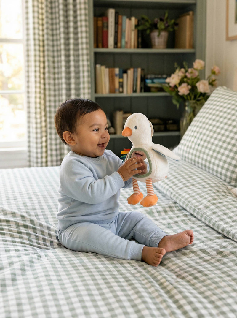 Itzy Ritzy | Itzy Bitzy Sensory Tummy Time Mirror | Goose