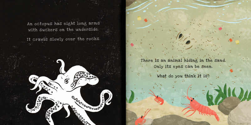 Kane Miller EDC Publishing | Shine-A-Light: Secrets of the Seashore
