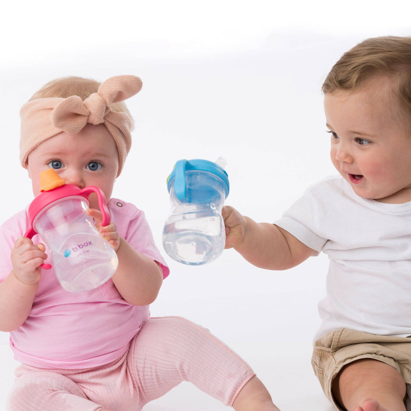 b.box USA | Transition Value Pack | Sippy Cup