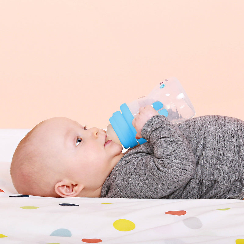 b.box USA | Transition Value Pack | Sippy Cup