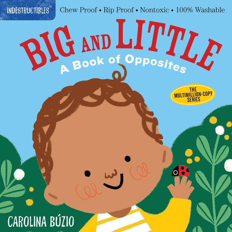 Hachette Book Group | Indestructibles: Big and Little: A Book of Opposites