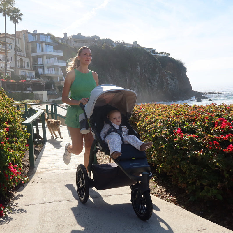 UPPAbaby Ridge V2 All-Terrain Stroller