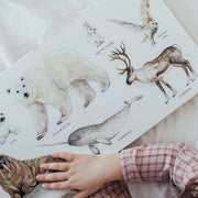 Children's book with illustrations of Arctic animals and a child's hand on the cover.