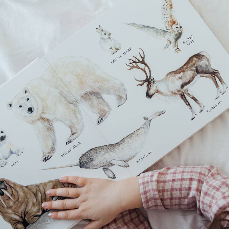 Children's book with illustrations of Arctic animals and a child's hand on the cover.