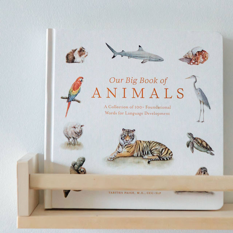 Book titled 'Our Big Book of Animals' on a wooden shelf with a light blue background