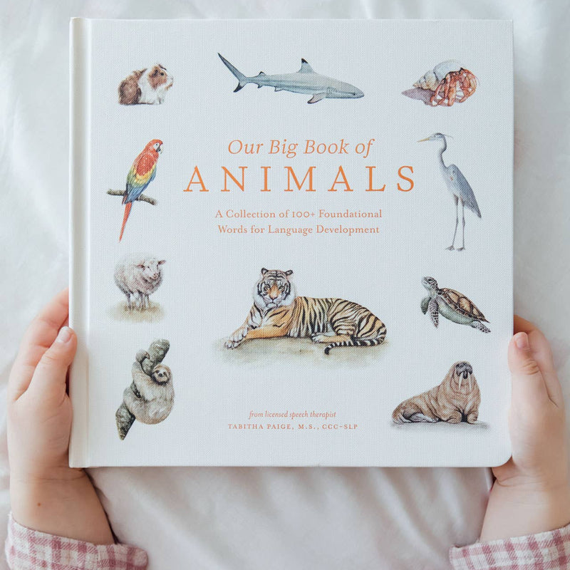 Person holding a book titled 'Our Big Book of Animals' with illustrations of various animals on the cover.