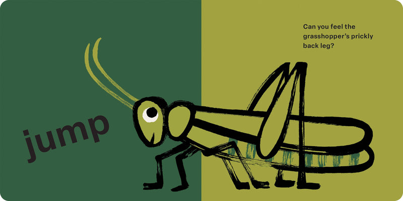 Hachette Book Group | Spring Street Touch and Feel: Bugs
