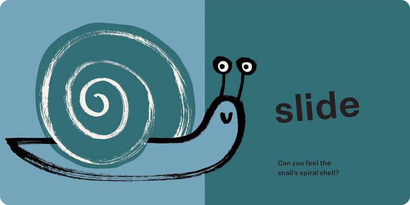 Hachette Book Group | Spring Street Touch and Feel: Bugs