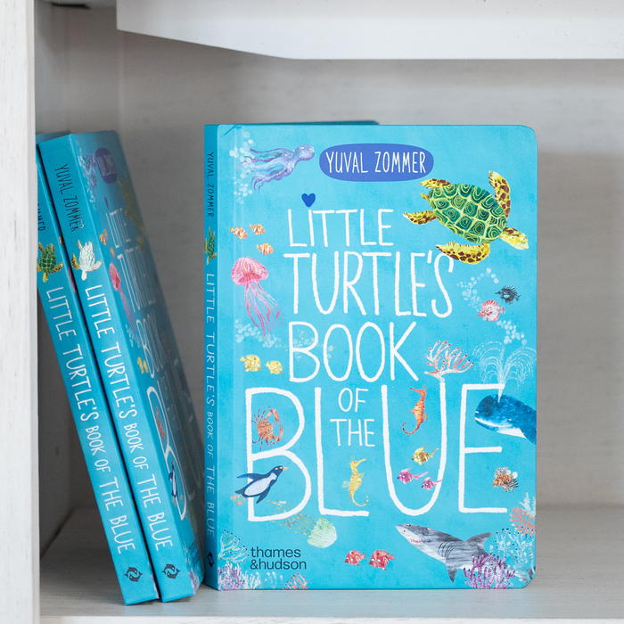 Little Turtle's Book of The Blue | W.W Norton Company