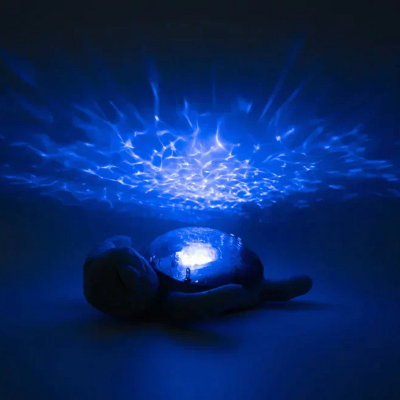 Cloud B | Tranquil Turtle Rechargeable | Ocean