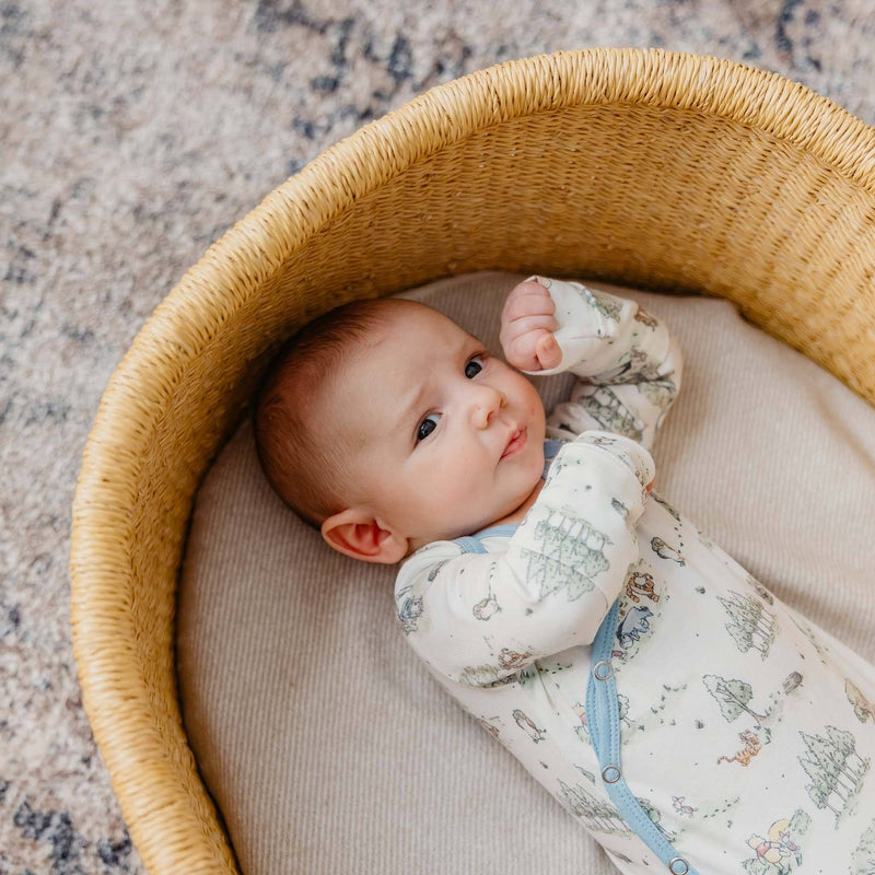 Overhead view of a baby in a basket wearing the Copper Pearl Hundred Acre Wood newborn knotted gown
