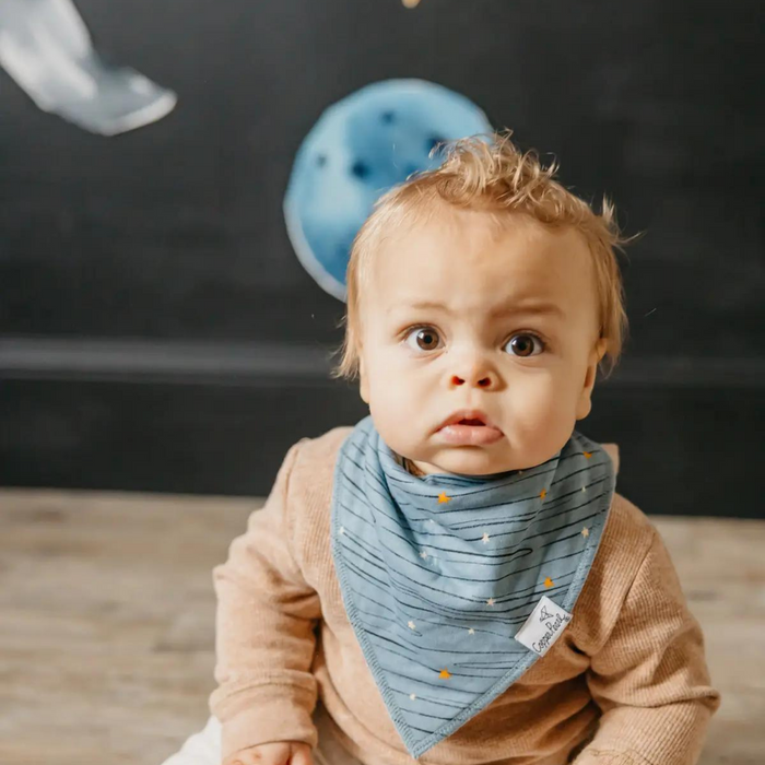 Copper Pearl Bandana Bib Set (4Pack) | Neil