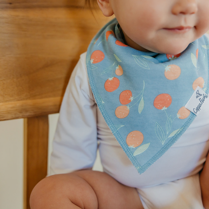 Copper Pearl | Bandana Bibs (4-pack) | Clementine