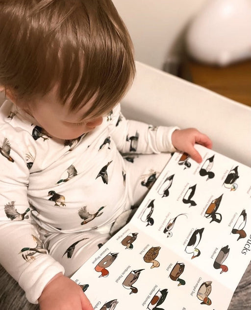 Toddler reading a page of waterfowl from the Duck Hunt board book