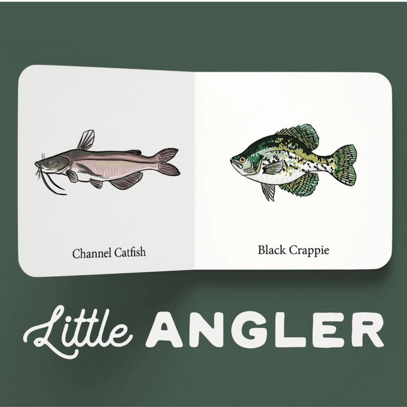 Inside pages of a Little Angler mini board book showing a channel catfish and a black crappie