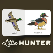 Inside pages of a Little Hunter mini board book showing a mallard and a wood duck