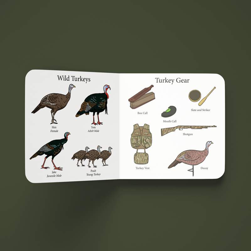Inside pages of Turkey Season showing wild turkeys and turkey hunting gear