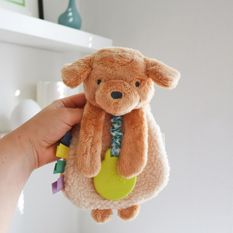 Itzy Lovey | Lovey Plush with Teether | Trevor the Puppy