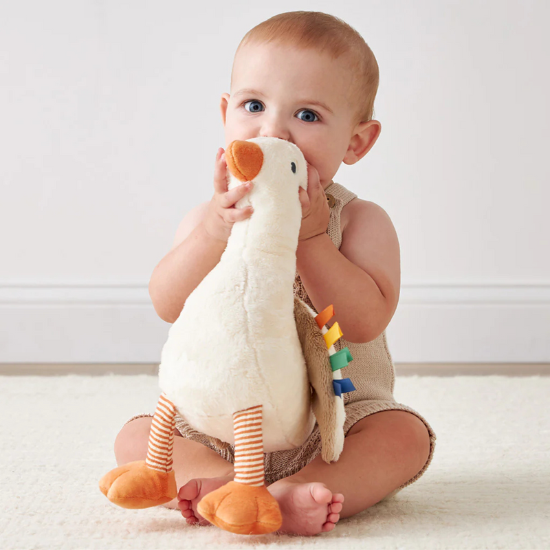 Itzy Ritzy | Sweetie Snuggles Plush | Gracie the Goose