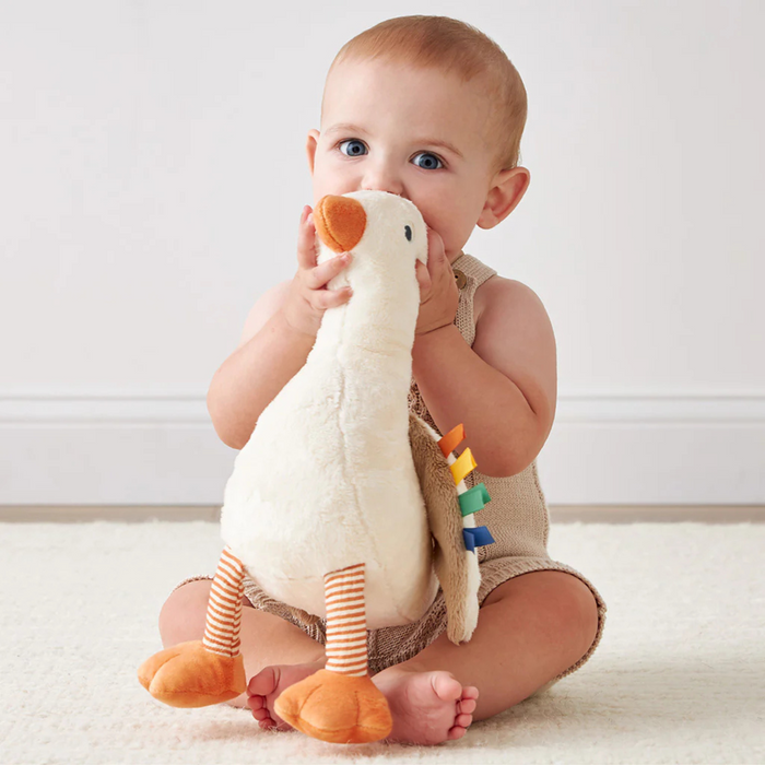 Itzy Ritzy | Sweetie Snuggles Plush | Gracie the Goose
