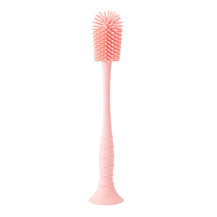 Pink bottle brush with textured head on a white background