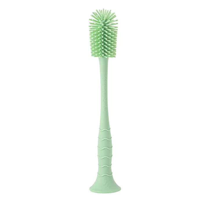 Green bottle brush with bristle head on a white background
