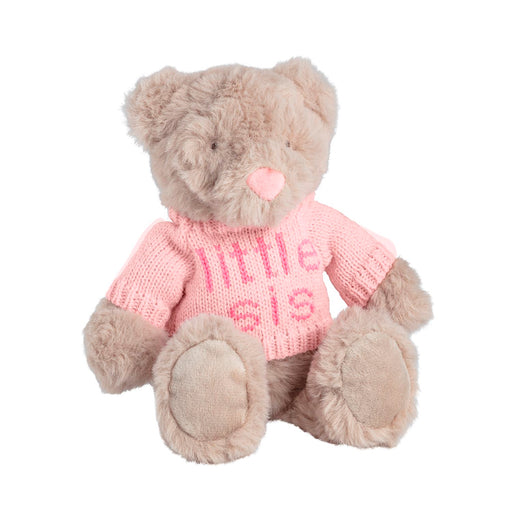 Teddy bear wearing a pink sweater with 'little sis' text on a white background
