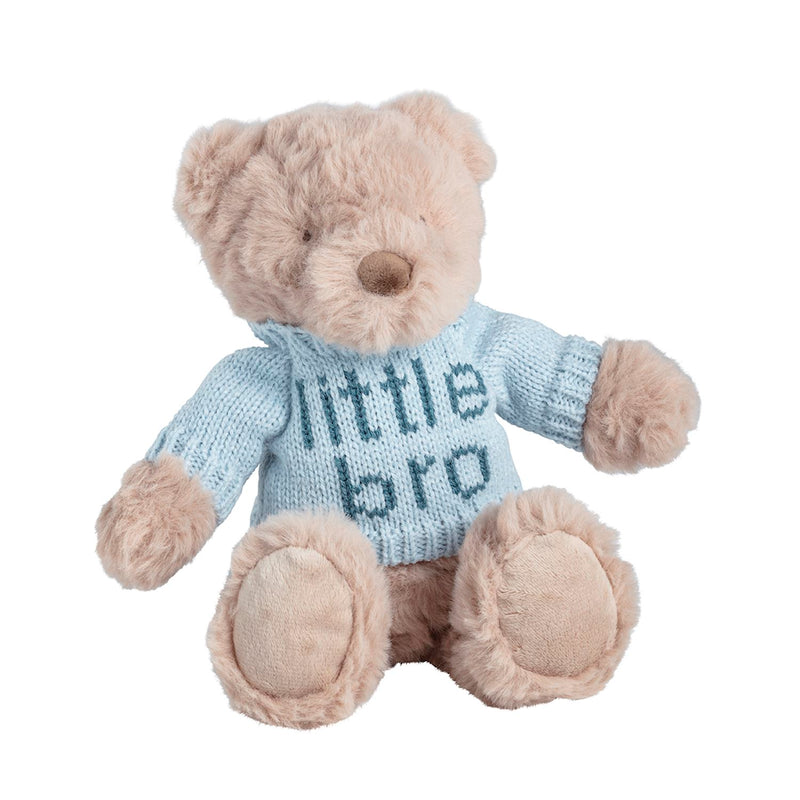 Plush teddy bear wearing a 'little bro' sweater on a white background