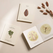 Three books with botanical illustrations on a beige surface