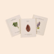 Three books with nature-themed illustrations on a beige background