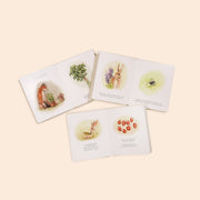 Three open books with illustrations of nature-themed content on a beige background