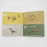 Educational card with bird illustrations and text on a white background