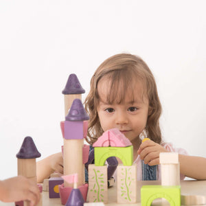 Plan Toys Fairy Tale Blocks