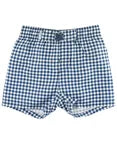 RuggedButts Navy Gingham Swim Trunks