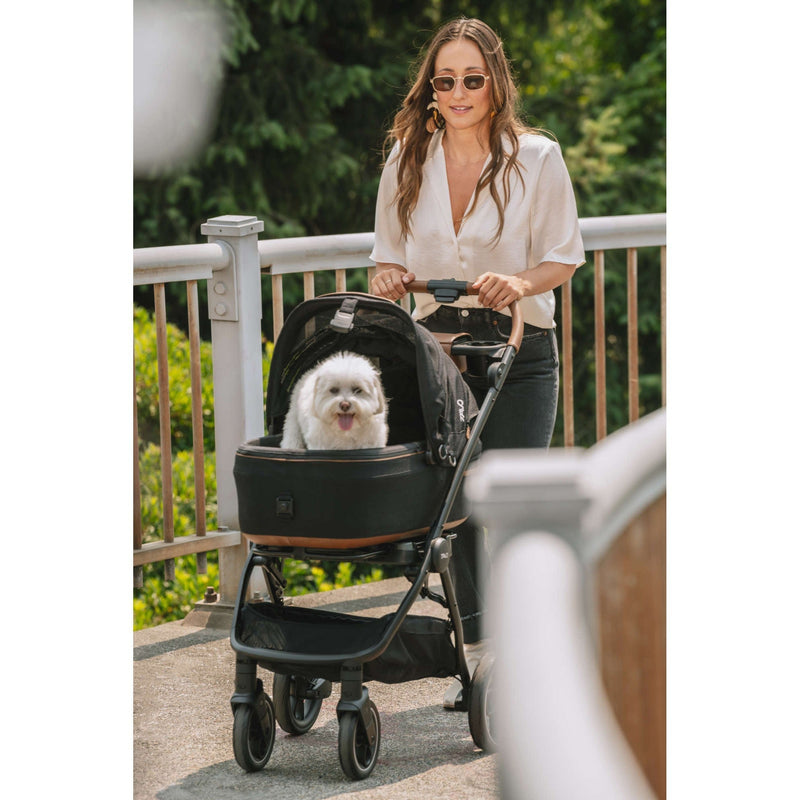 Tavo Maeve + Roscoe 3-in-1 Pet Protection System