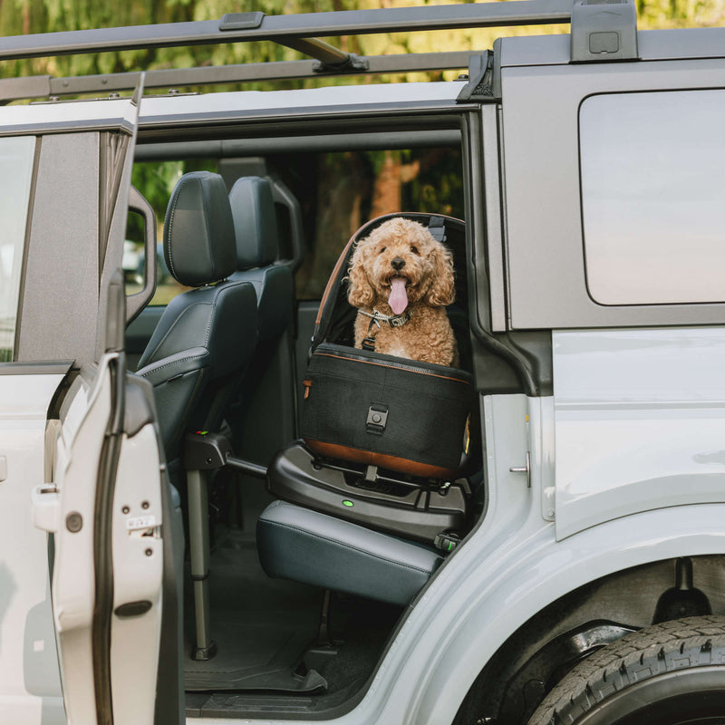 Tavo Maeve + Roscoe 3-in-1 Pet Protection System