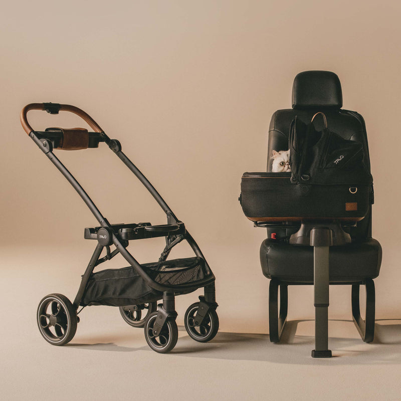 Tavo Maeve + Roscoe 3-in-1 Pet Protection System