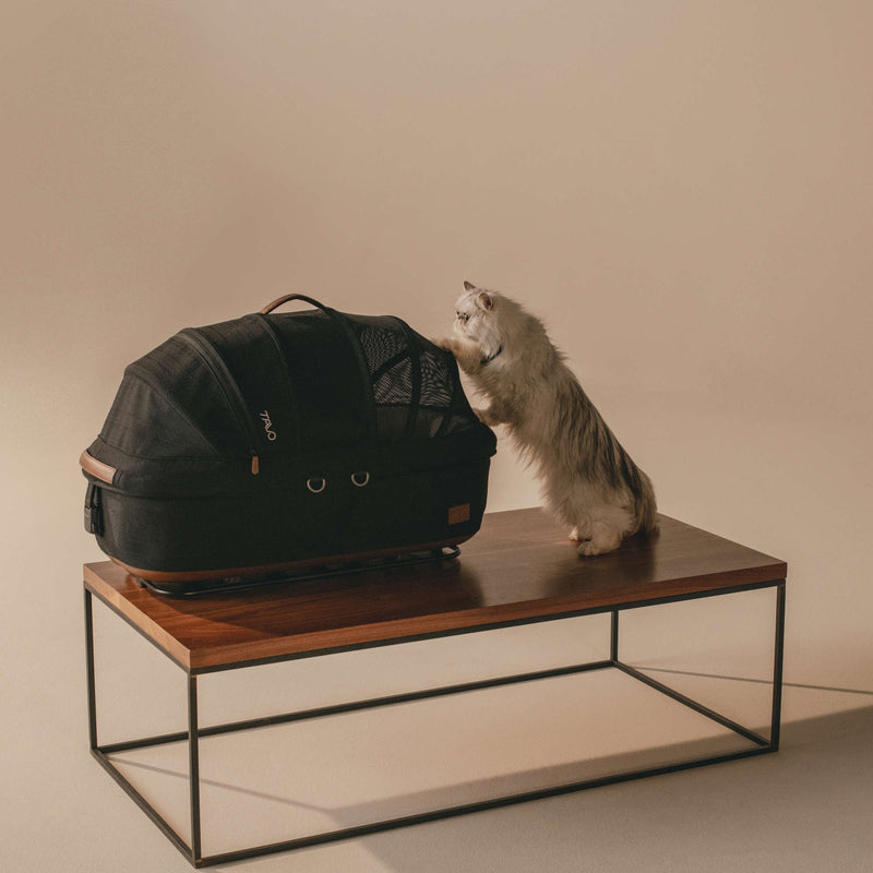 Tavo Maeve Pet Car Seat