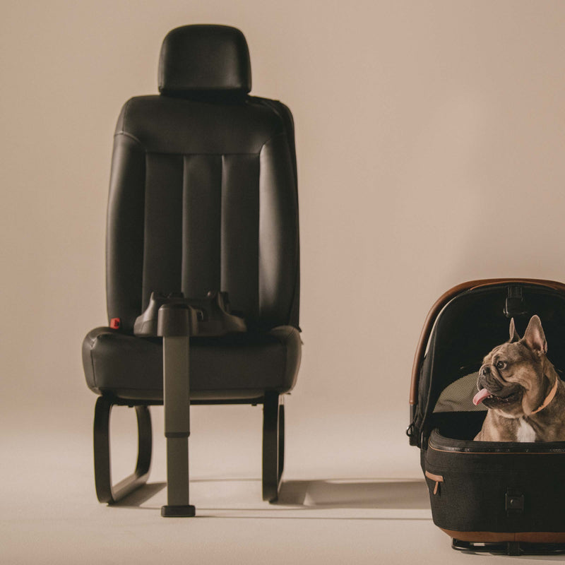 Tavo Vehicle Base for Maeve Pet Protection System