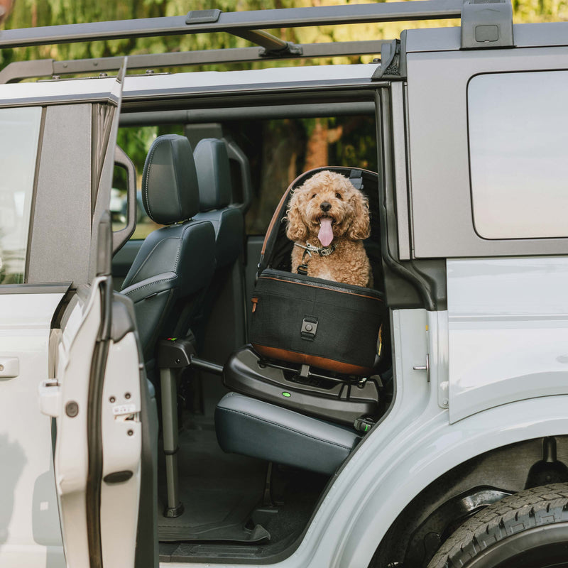 Tavo Vehicle Base for Maeve Pet Protection System